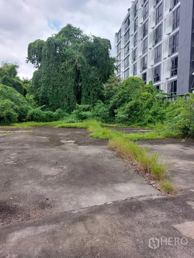 Land for sale in Khlong Toei, Bangkok - Vacant concrete land with dense greenery beside a modern mid-rise building under cloudy skies.