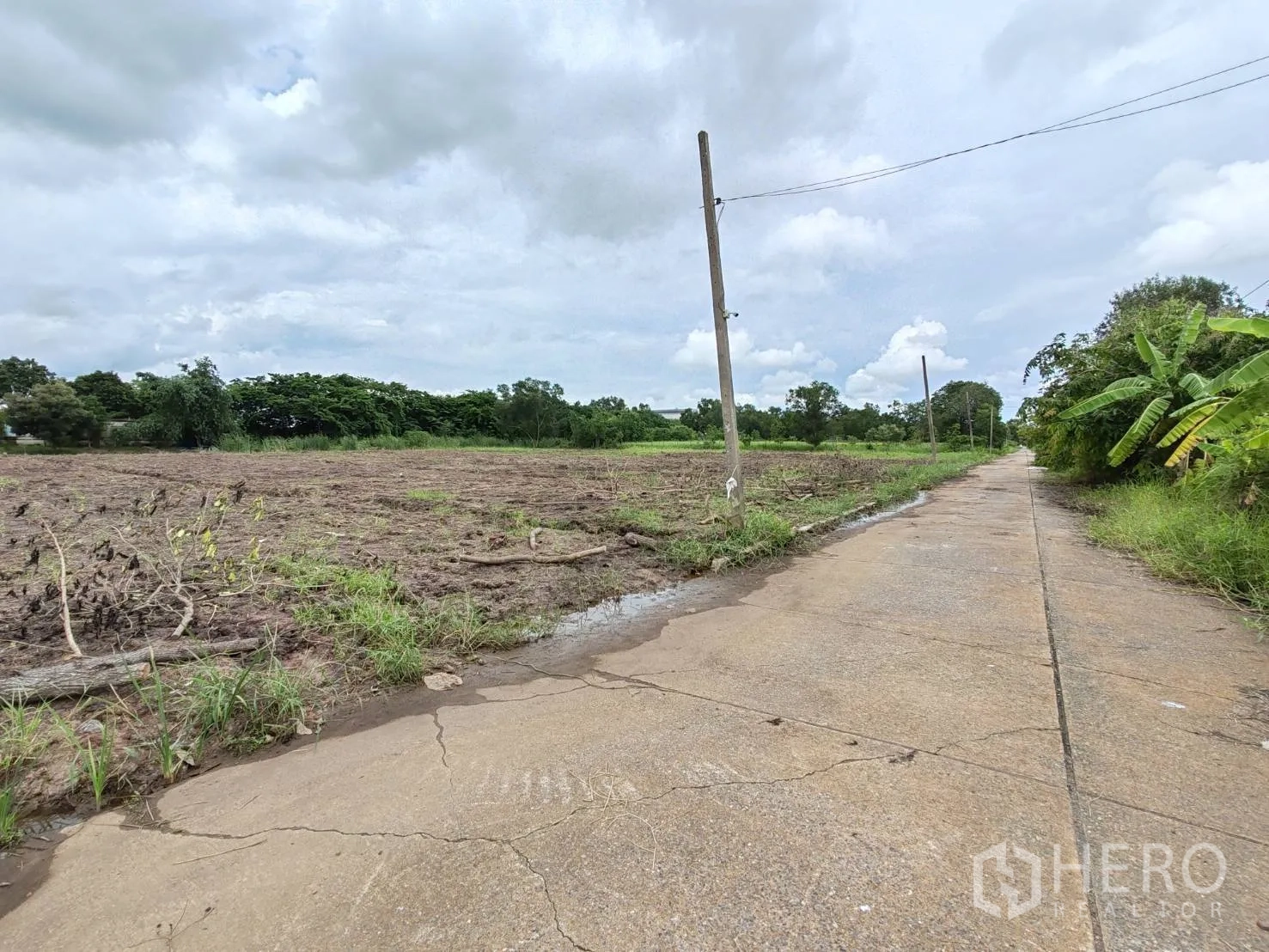 Land for sale in Khlong Luang, Pathum Thani - Cleared plot of land along a concrete lane with power lines and trees.