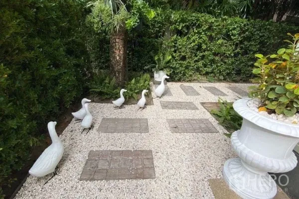 บ้าน ให้เช่าในSai Mai, Bangkok - สวนกรวดจัดแต่ง พร้อมทางเดินแผ่นทางเท้า พืชเขตร้อน และตุ๊กตาเป็ดสีขาว