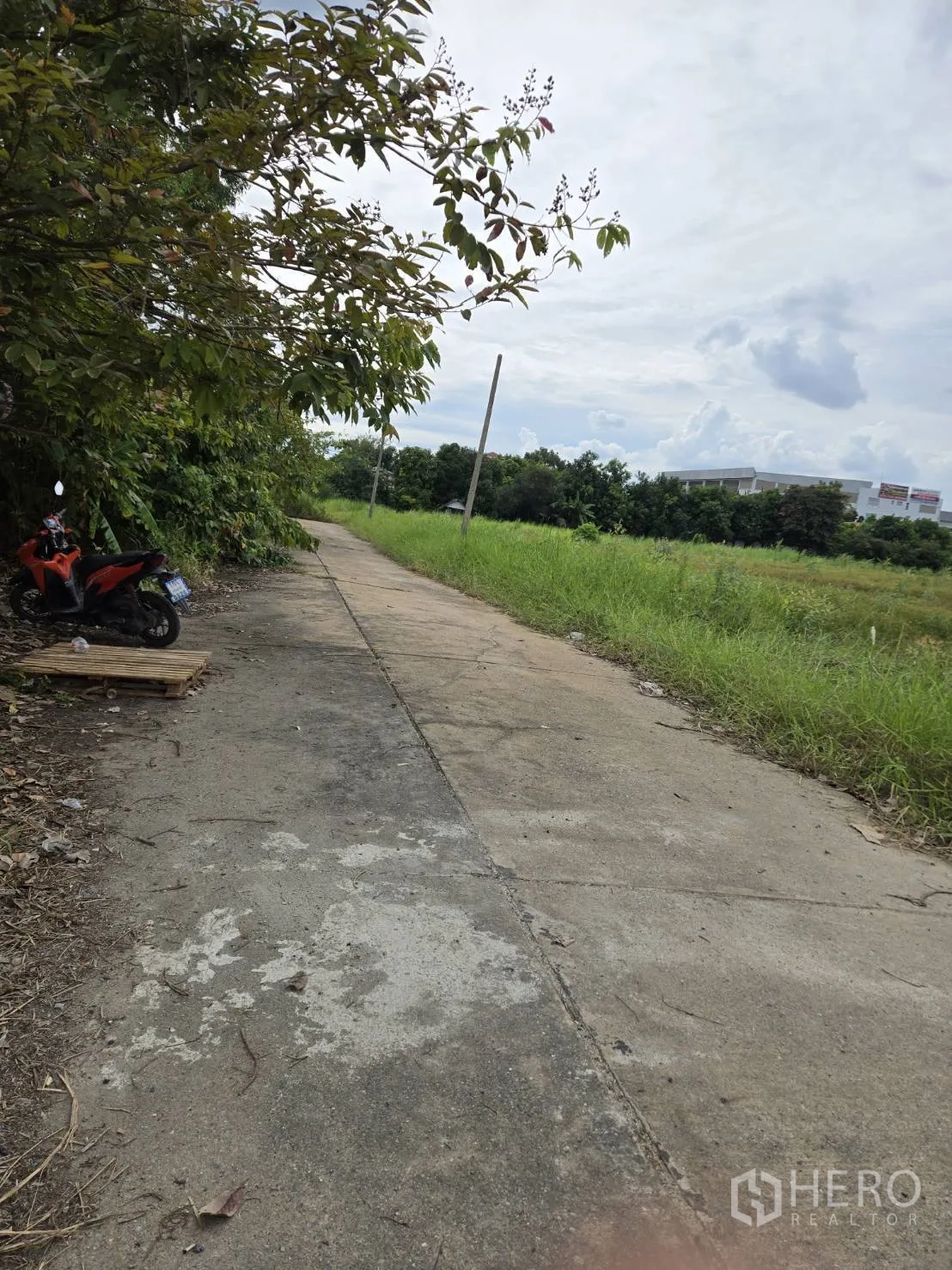 Land for sale in Khlong Luang, Pathum Thani - Shaded concrete lane with a parked motorbike next to overgrown grassland and utility poles.
