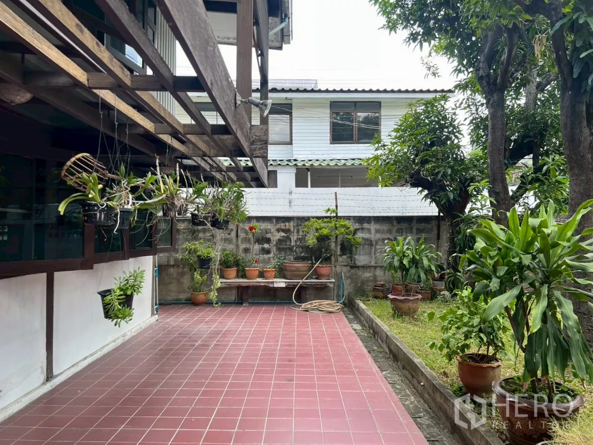 บ้าน ขายในKhlong Toei, Bangkok - ลานหลังบ้านแขวนต้นไม้ กระถาง และสวนร่มรื่น