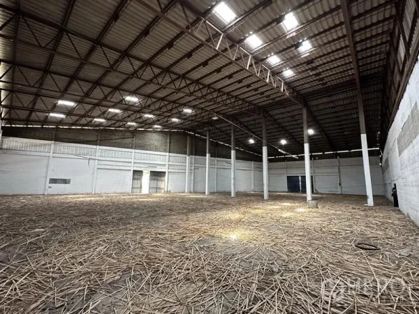 Warehouse for rent in Samut Prakan - High-clear warehouse hall with white pillars, large loading doors and ample, well-lit floor area.