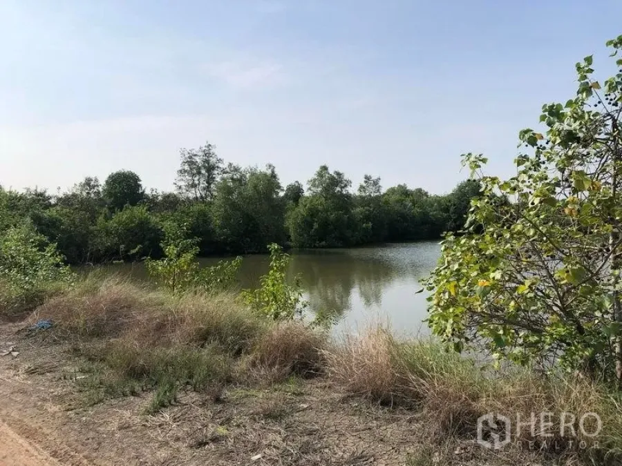 Land for sale in Samut Songkhram - Large Amphawa land plot with natural pond and dense trees along the shoreline under a clear sky.