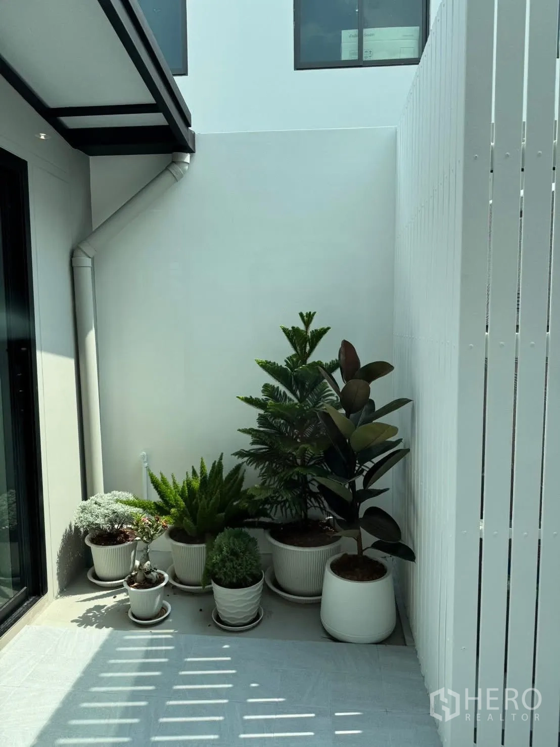 ทาวน์เฮาส์ for rent in Bang Phli, Samut Prakan - ลานบ้านส่วนตัวขนาดเล็กกับกระถางต้นไม้และระแนงสีขาว