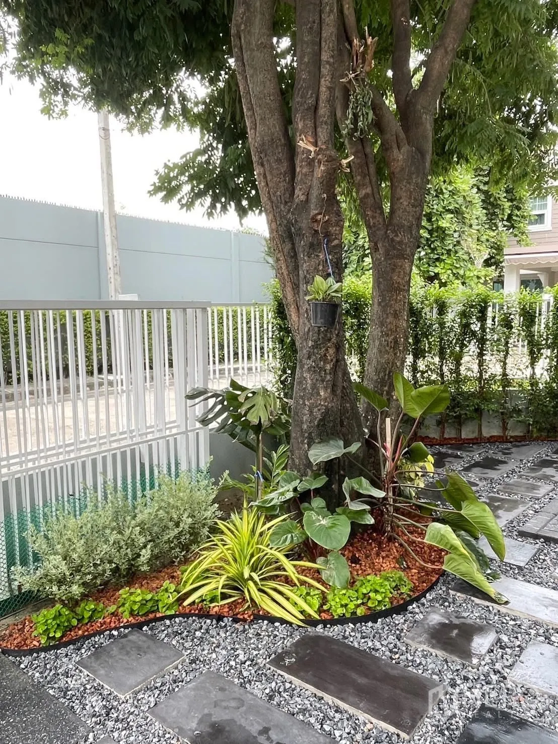 Detached House for rent in Bang Phli, Samut Prakan - Shaded garden corner with large tree, tropical plants and white gate.