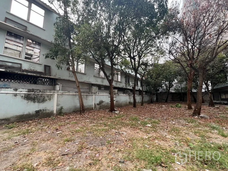 ที่ดิน ให้เช่าในWatthana, Bangkok - บริเวณร่มรื่นของแปลง มีต้นไม้และตึกเตี้ยข้างเคียง