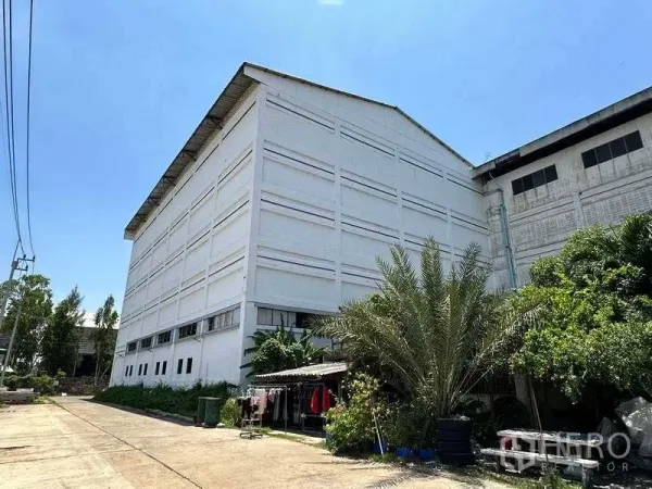 Factory for rent in Mueang Samut Prakan, Samut Prakan - Rear view of a large white industrial building with greenery along a side lane.