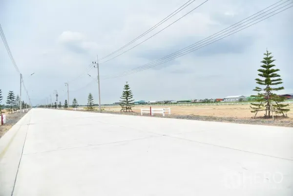 Land for sale in Lam Luk Ka, Pathum Thani - Internal 12-meter concrete road with streetlights, utilities, and young pine trees lining the plots.