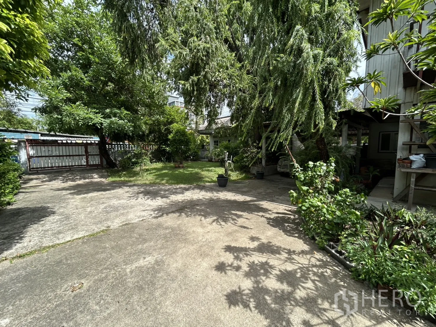 独栋房屋 for sale in Phra Khanong, Bangkok - 开阔庭院，绿植环绕，可见入口大门与树木。