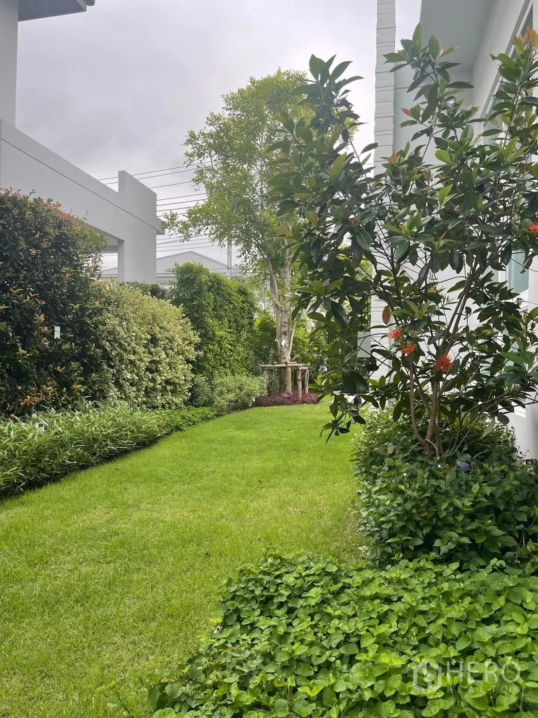 Detached House for rent in Prawet, Bangkok - Landscaped side garden with lawn, hedges, and mature trees.