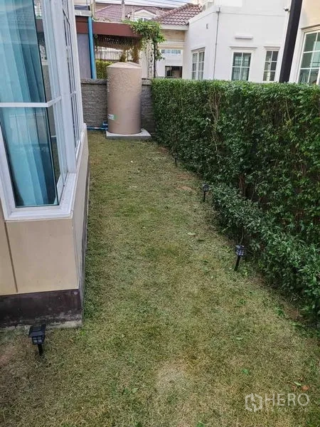 Detached House for sale in Bueng Kum, Bangkok - Private side garden with trimmed hedge and grass lawn along the house.