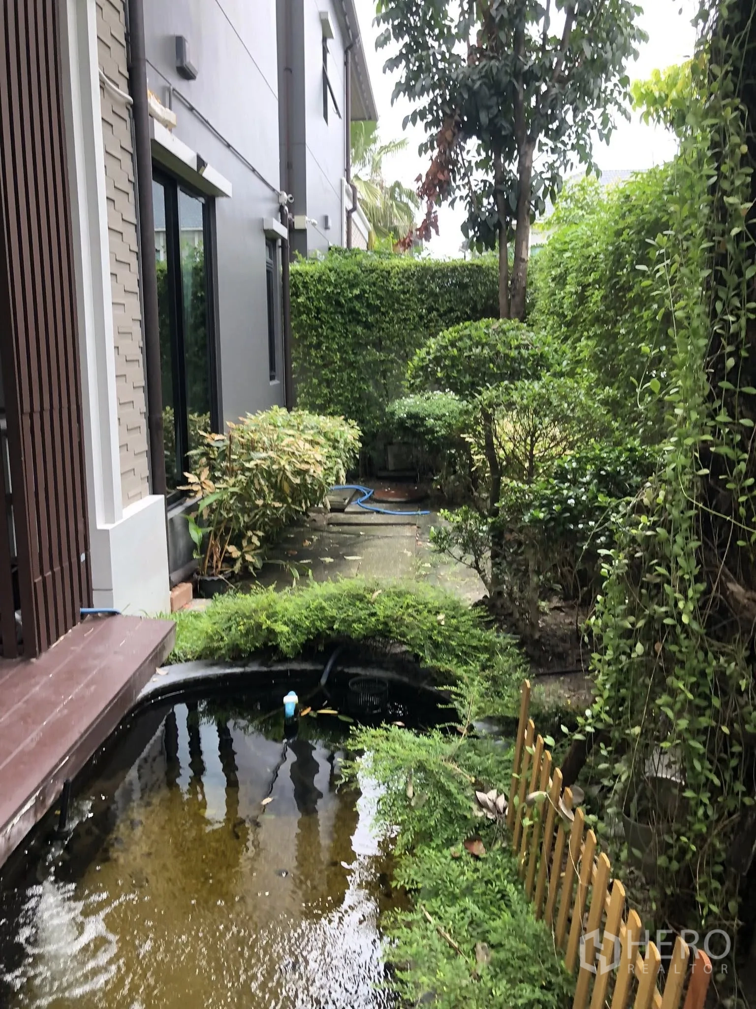 Detached House for rent in Bang Khae, Bangkok - Lush side garden with a small pond, mature hedges and paved walkway.