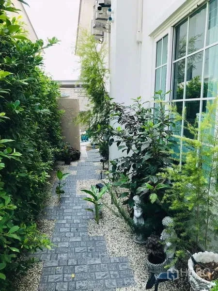 独立式住宅 出租在Chom Thong, Bangkok - 侧院景观，小径铺石与白色碎石，绿篱环绕，旁有推拉玻璃门。