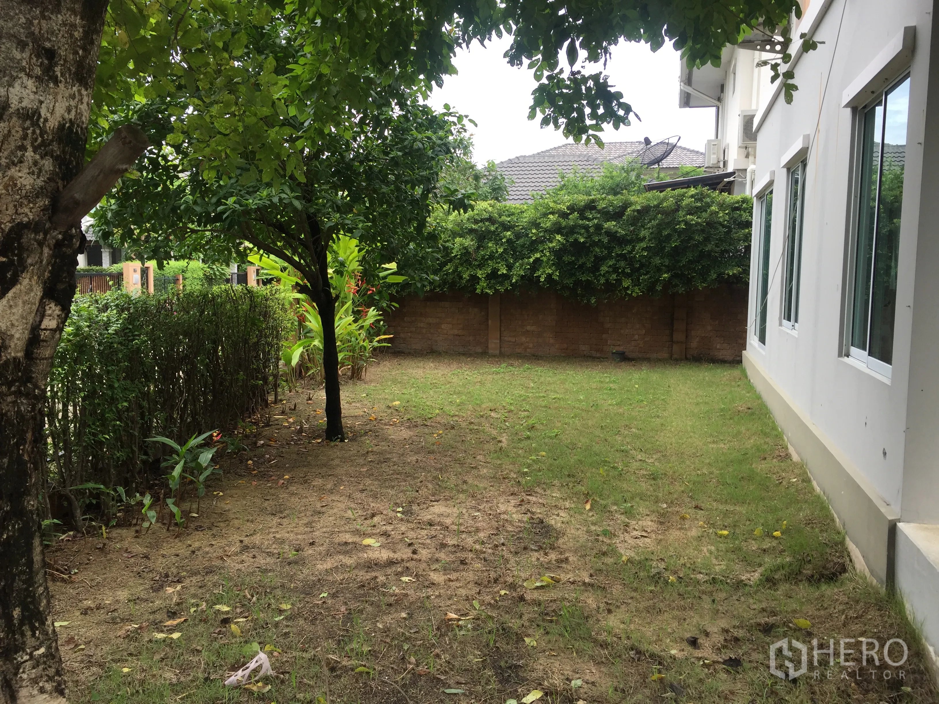 Detached House for rent in Pathum Thani - Private side garden with lawn, shade tree, hedge and brick boundary wall beside the house.