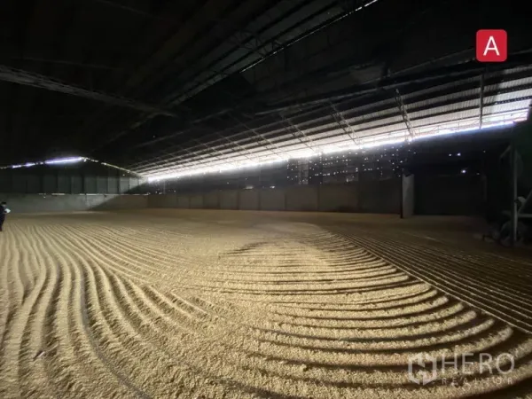 工厂 出租在Chachoengsao - 大跨度棚库，自然侧向采光照亮宽阔的散装储区