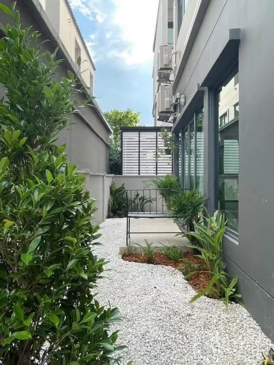 บ้าน ให้เช่าในSaphan Sung, Bangkok - สวนข้างบ้านโรยหินขาว พุ่มไม้ และม้านั่งข้างผนังกระจก.