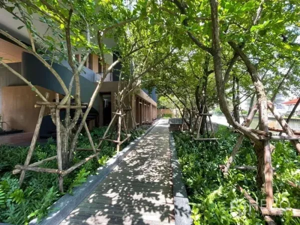 คอนโด ให้เช่าในWatthana, Bangkok - ทางเดินสวนร่มเงาใต้ต้นไม้ตลอดแนวคลองของโครงการ