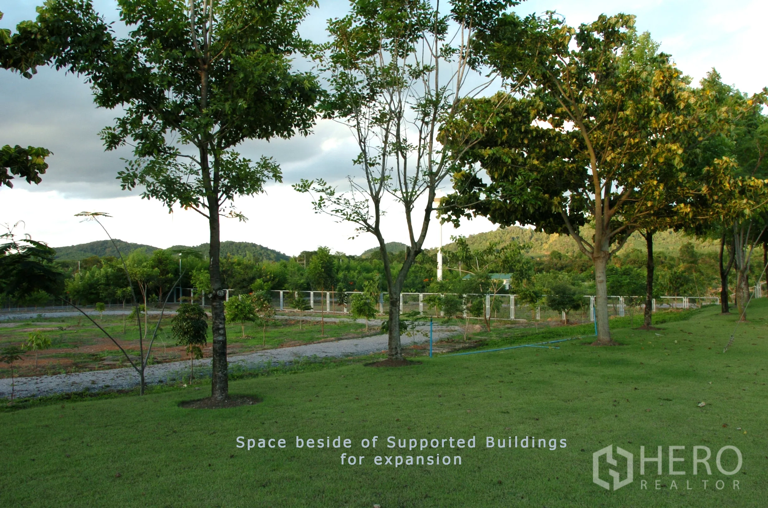 工厂 for sale in Khao Chamao, Rayong - 支援建筑旁的大型扩建绿地，有树木与山景。