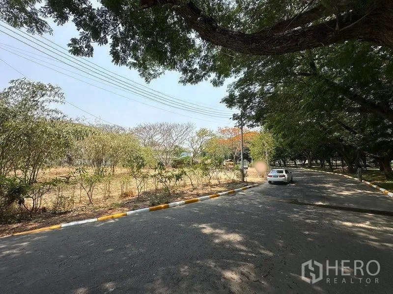 Land for sale in Khlong Luang, Pathum Thani - Tree-lined avenue with a vacant plot on the left and a white sedan ahead.