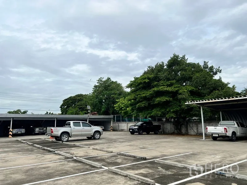 ที่ดิน ให้เช่าในBang Na, Bangkok - ลานกว้างมีช่องจอดรถ เสริมด้วยต้นไม้ใหญ่ให้ร่มเงา และโรงจอดรถด้านหลัง