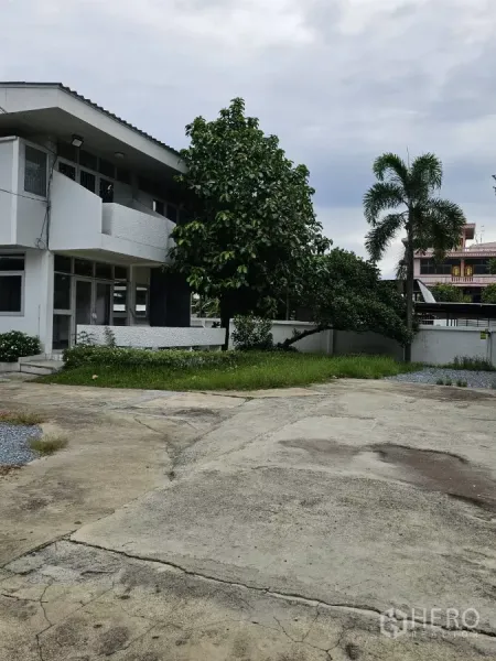 บ้าน ให้เช่าหรือขายในLat Phrao, Bangkok - มุมใกล้บ้านพร้อมสนามหญ้า ต้นไม้ใหญ่ และลานคอนกรีตกว้าง