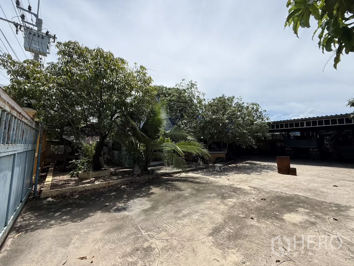 Warehouse for sale in Phra Samut Chedi, Samut Prakan - Wide driveway at entrance bordered by trees and perimeter wall with power pole nearby.