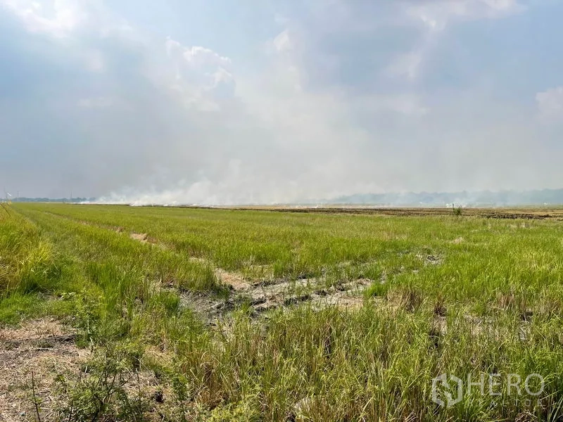 Land for sale in Pathum Thani - Wide, flat green field in Lam Luk Ka with open sky and a farm track.