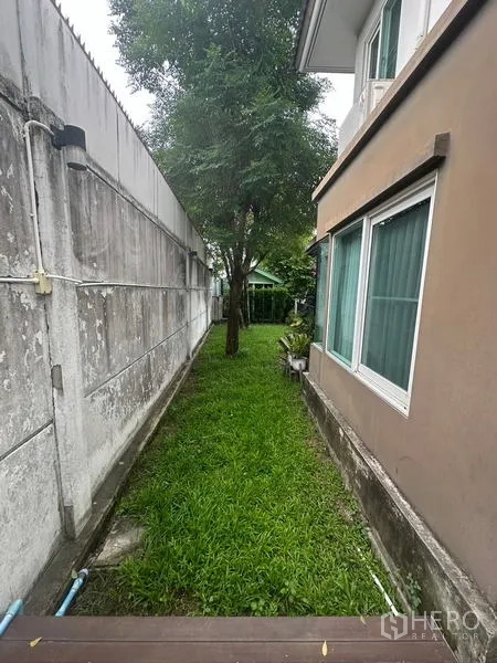 Detached House for sale in Prawet, Bangkok - Narrow side lawn running along the boundary wall beside the house.