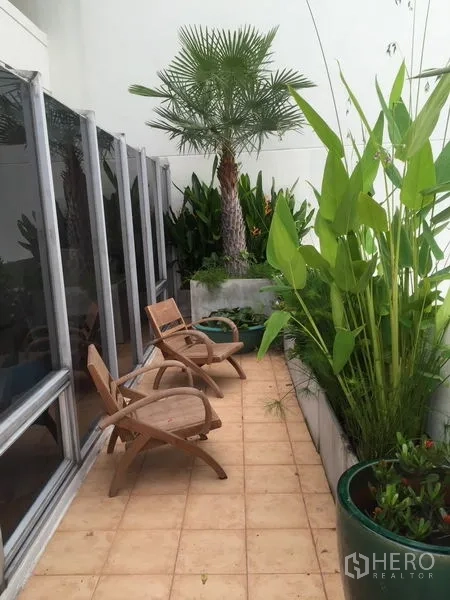 คอนโด ให้เช่าในKhlong Toei, Bangkok - ระเบียงด้านข้างยาว มีเก้าอี้เอน กระถางปาล์ม และพื้นกระเบื้องข้างผนังกระจกสูง