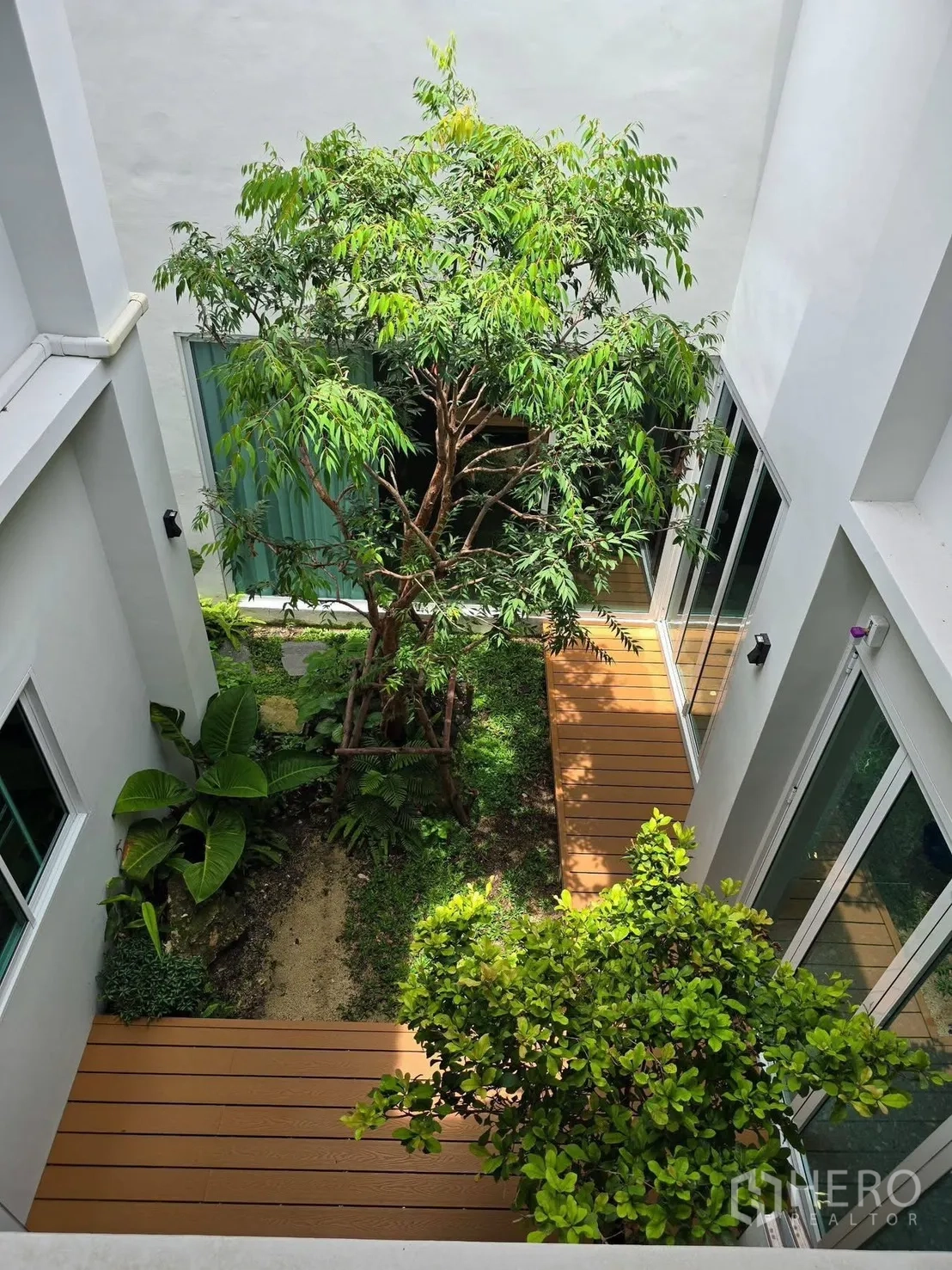 Detached House for rent in Suan Luang, Bangkok - Lush interior courtyard garden with trees, plants and timber decking.