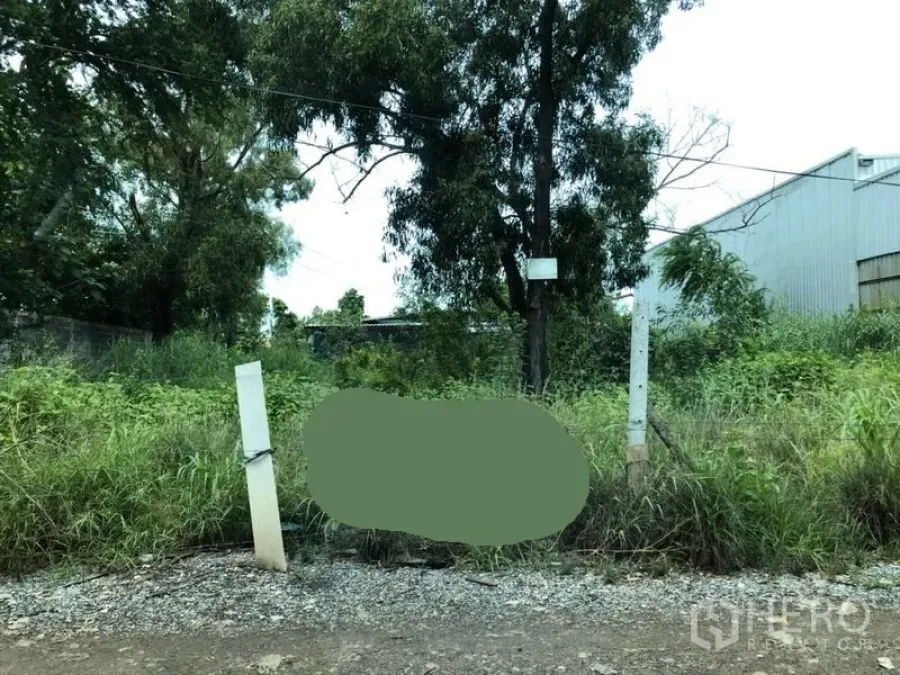 Land for sale in Lam Luk Ka, Pathum Thani - Roadside vacant land with grass, utility poles, and a nearby warehouse in Lam Luk Ka, Pathum Thani.