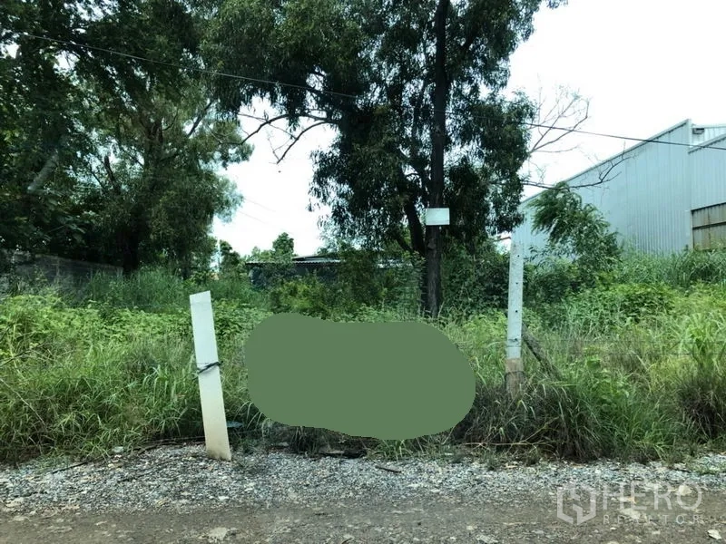 Land for sale in Lam Luk Ka, Pathum Thani - Roadside vacant land with grass, utility poles, and a nearby warehouse in Lam Luk Ka, Pathum Thani.