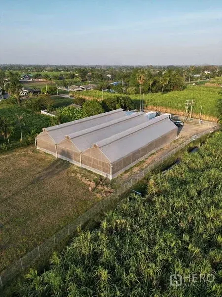 ที่ดิน ให้เช่าในNakhon Pathom - ภาพมุมเฉียงทางอากาศของโรงเรือนยาว รายล้อมด้วยทุ่งนาและคลองชลประทาน