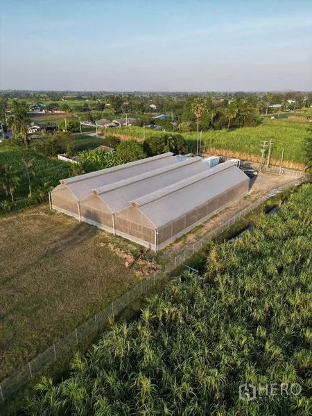 ที่ดิน ให้เช่าในNakhon Pathom - ภาพมุมเฉียงทางอากาศของโรงเรือนยาว รายล้อมด้วยทุ่งนาและคลองชลประทาน