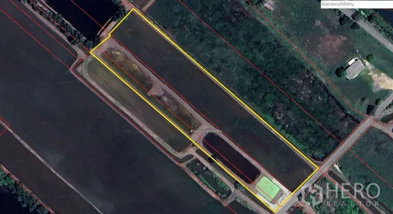 Land for sale in Chachoengsao - Top-down satellite image showing the parcel boundary marked with yellow lines.