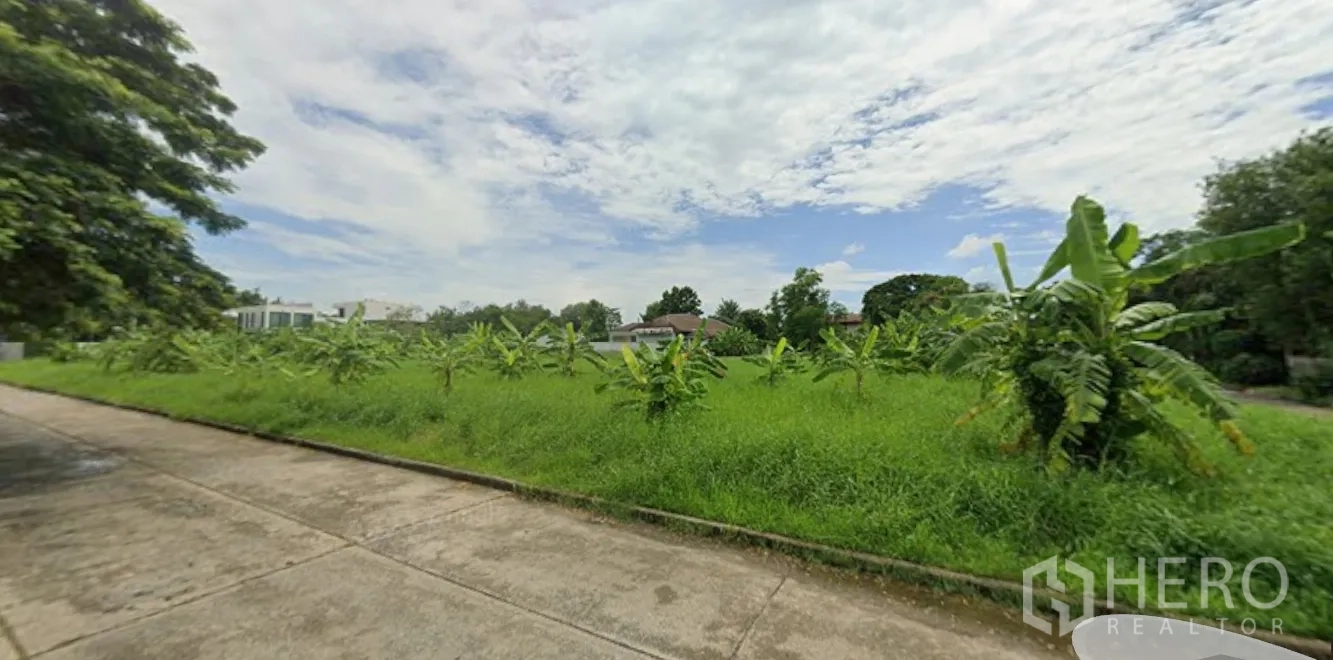 ที่ดิน for rent in Prawet, Bangkok - มุมมองจากริมถนนเห็นต้นกล้วยปลูกเรียง และบ้านพักอาศัยเตี้ยใกล้เคียง