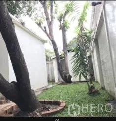 独立式住宅 出租在Phra Khanong, Bangkok - 房屋侧院草地，棕榈与成树沿高墙而立。