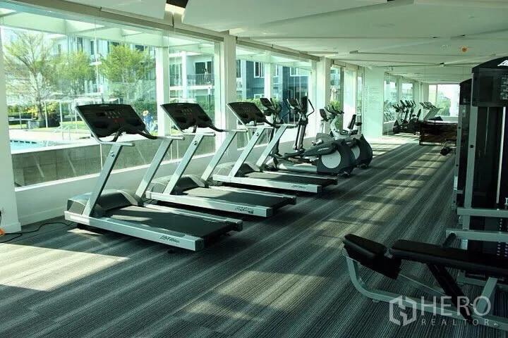 คอนโด ให้เช่าในKhlong Toei, Bangkok - ฟิตเนสสว่างโปร่ง มีลู่วิ่ง จักรยาน และอุปกรณ์เวท มองเห็นสระว่ายน้ำ