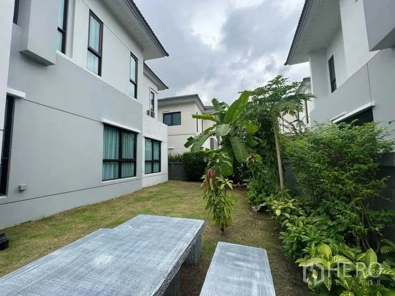 บ้าน ให้เช่าในMueang Nonthaburi, Nonthaburi - สนามหญ้าหลังบ้าน รายล้อมด้วยแนวรั้วต้นไม้และต้นกล้วย พร้อมที่นั่ง