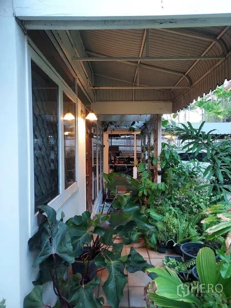 บ้าน ให้เช่าในMueang Samut Prakan, Samut Prakan - ทางเดินข้างบ้านมีหลังคาและไม้กระถางเขียวตลอดแนว