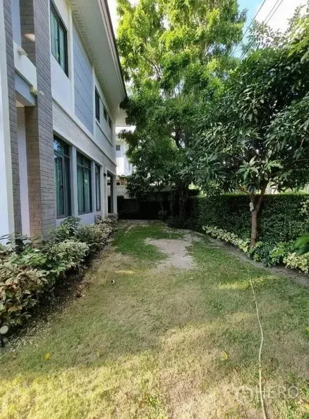 Detached House for sale in Suan Luang, Bangkok - Shaded side yard with lawn, mature trees and trimmed hedges beside the house.