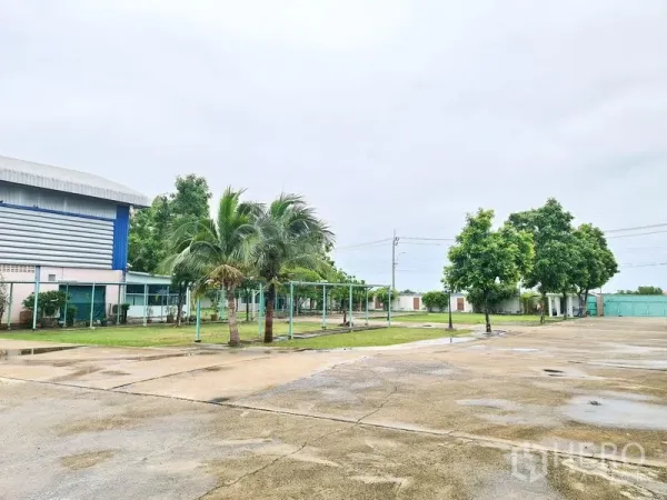 Warehouse for sale in Phra Samut Chedi, Samut Prakan - Spacious warehouse compound with wide concrete yard, palm trees and gated access in Phra Samut Chedi.
