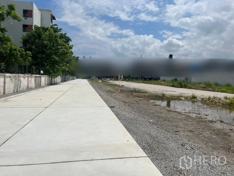 ที่ดิน ให้เช่าในBang Khun Thian, Bangkok - ถนนบริการคอนกรีตและน้ำขังเล็กน้อย ขนาบด้วยกำแพงล้อมที่ดินราบในกรุงเทพฯ