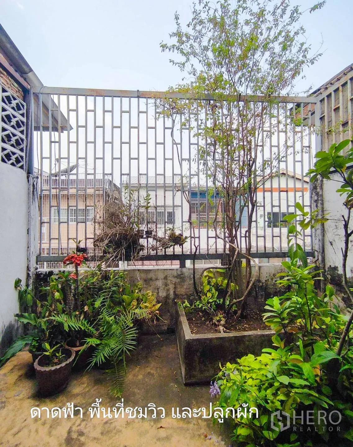 อาคารพาณิชย์ ให้เช่าหรือขายในWatthana, Bangkok - มุมสวนเล็กบนดาดฟ้า มีแปลงปลูกและต้นไม้ข้างรั้วเหล็ก