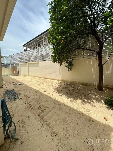 独立式住宅 出售在Prawet, Bangkok - 后院有树与水龙头，高围墙提供私密。