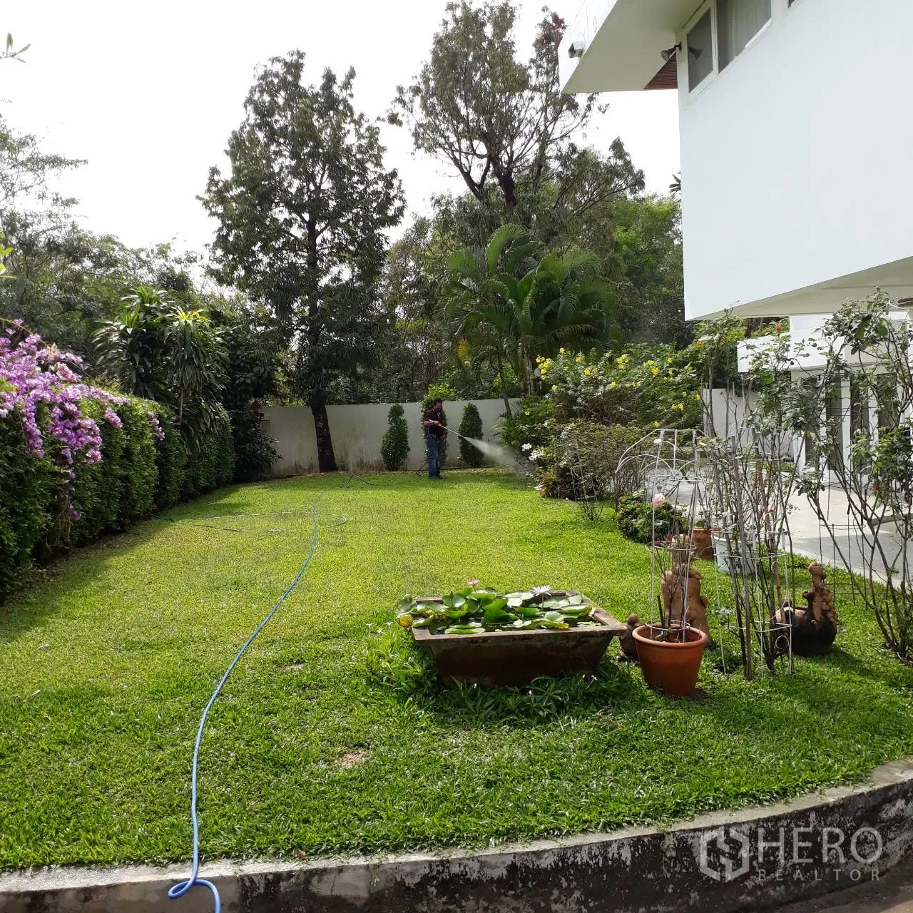 บ้าน ให้เช่าในKhlong Toei, Bangkok - สนามหญ้าส่วนตัวกว้าง รายล้อมด้วยพุ่มไม้และไม้ดอก ข้างตัวบ้าน