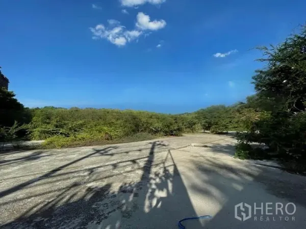 ที่ดิน ให้เช่าในPhra Khanong, Bangkok - แปลงที่ดินเรียบ พื้นฮาร์ดสแตนด์ เงาแนวสายไฟและพุ่มไม้รอบด้าน ในย่านพระโขนง