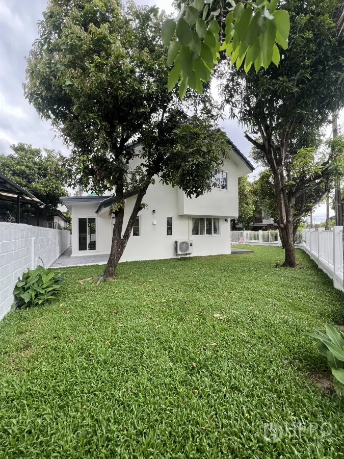 Detached House for rent in Saphan Sung, Bangkok - Spacious rear garden with grass, trees and white perimeter fence around the house.