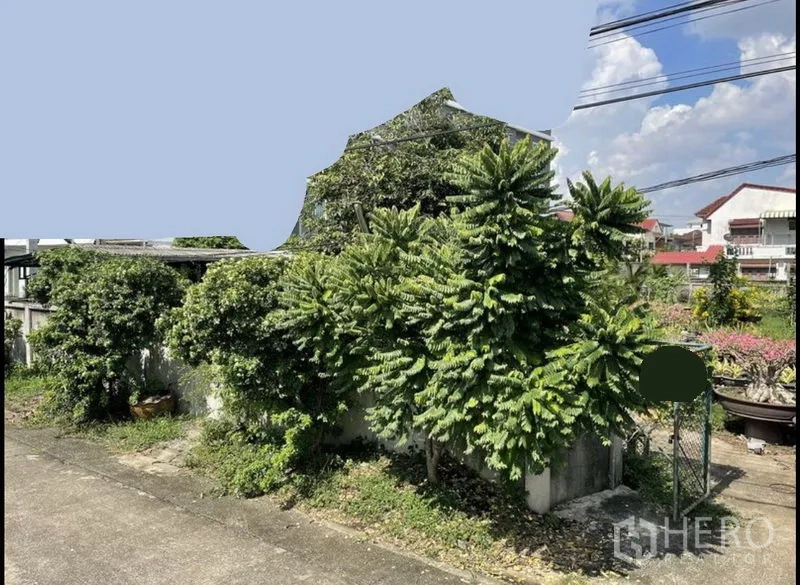 ที่ดิน ขายในSuan Luang, Bangkok - มุมที่ดินติดกำแพง มีต้นไม้หนาทึบและประตูเหล็ก ในชุมชนที่อยู่อาศัย