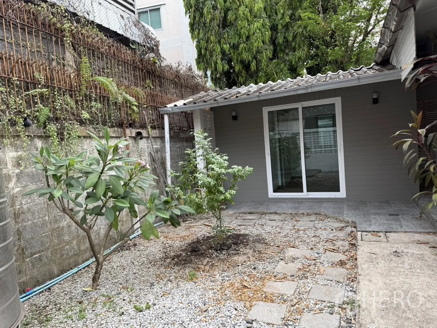 บ้านเดี่ยว for rent in Khlong Toei, Bangkok - สวนส่วนตัวมีต้นไม้ ทางเดินโรยกรวด และประตูกระจกบานเลื่อนไปยังห้องพัก
